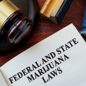 Medical Marijuana Laws Florida