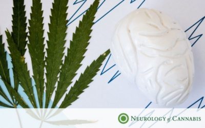 Medical Marijuana and Epilepsy