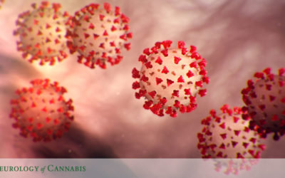 Coronavirus & Medical Cannabis